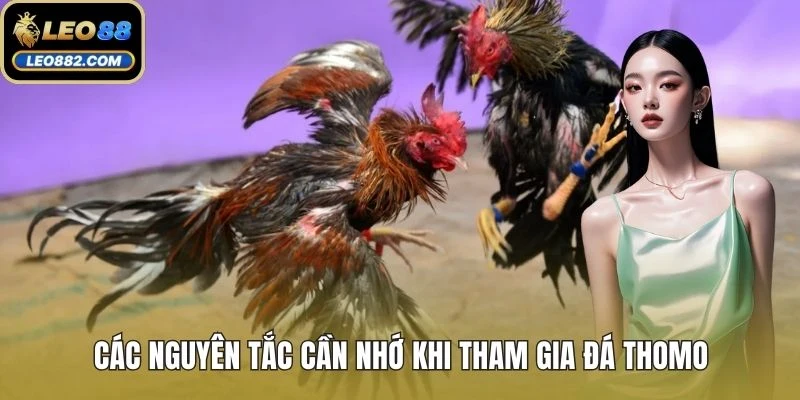 Các nguyên tắc cần nhớ khi tham gia đá Thomo