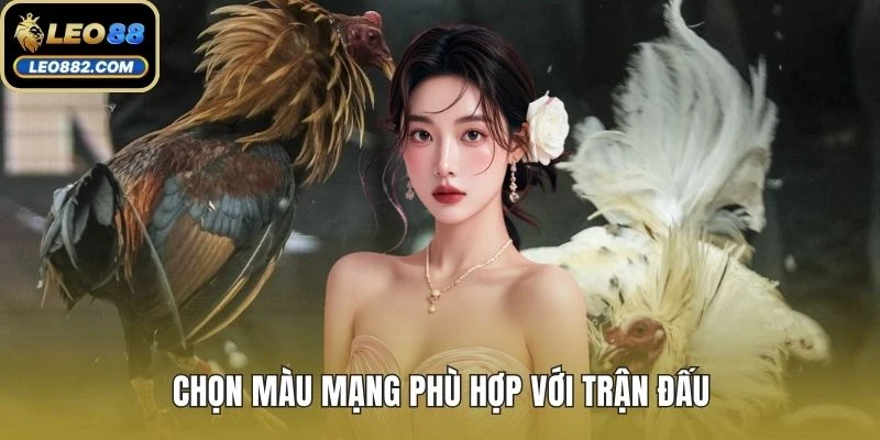 Chọn màu mạng phù hợp với trận đấu