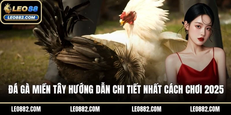 Đá gà miền Tây