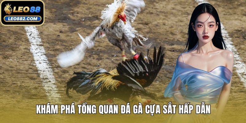 Khám phá tổng quan đá gà cựa sắt hấp dẫn
