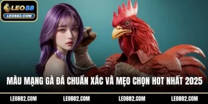 Màu mạng gà đá