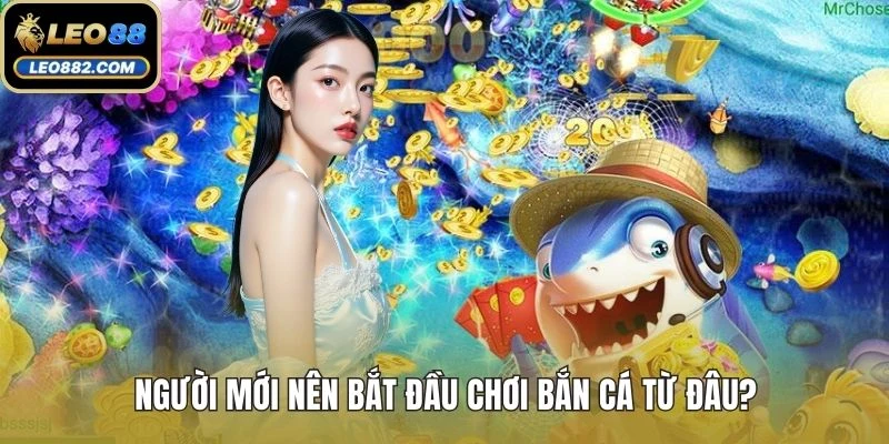Người mới nên bắt đầu chơi bắn cá từ đâu?