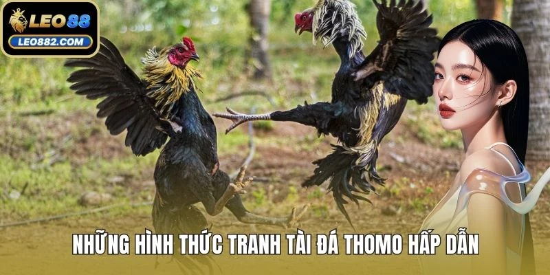 Những hình thức tranh tài đá Thomo hấp dẫn