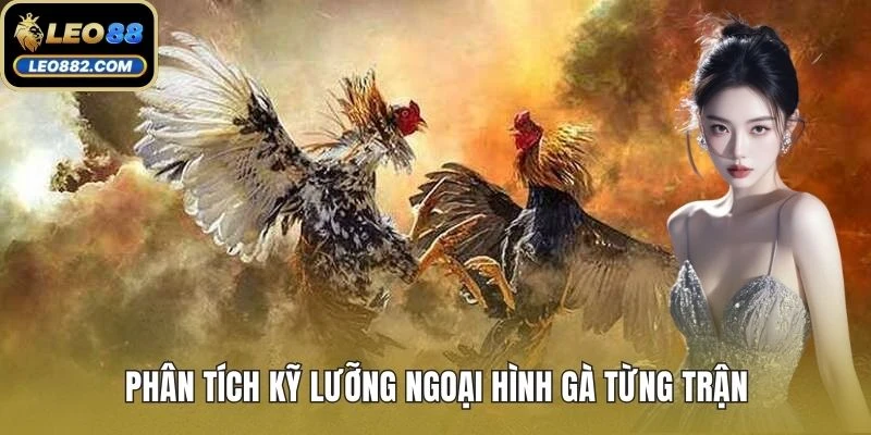Phân tích kỹ lưỡng ngoại hình gà từng trận