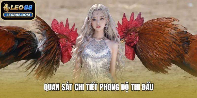 Quan sát chi tiết phong độ thi đấu