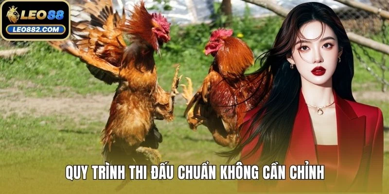 Quy trình thi đấu chuẩn không cần chỉnh