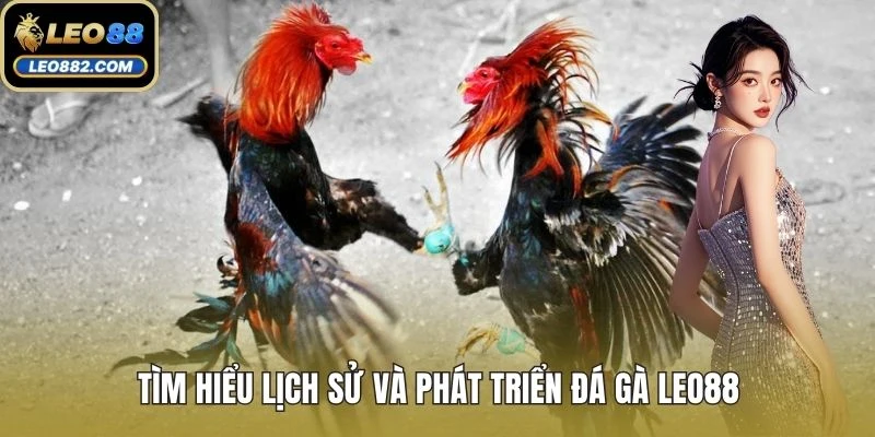 Tìm hiểu lịch sử và phát triển đá gà LEO88