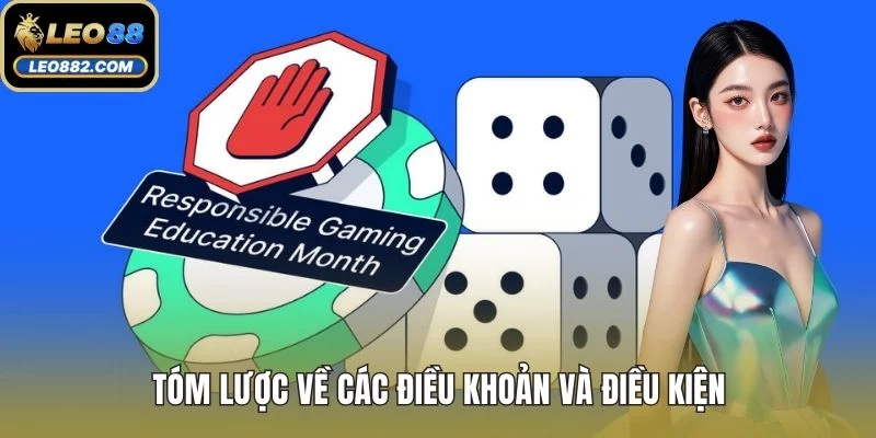 Tóm lược về các điều khoản và điều kiện