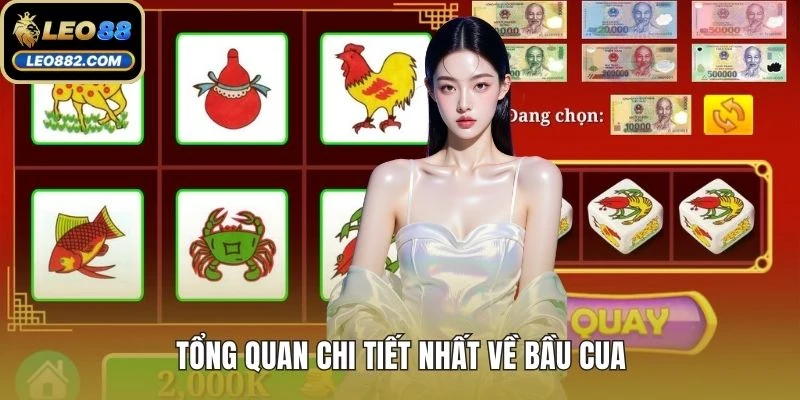 Tổng quan chi tiết nhất về bầu cua
